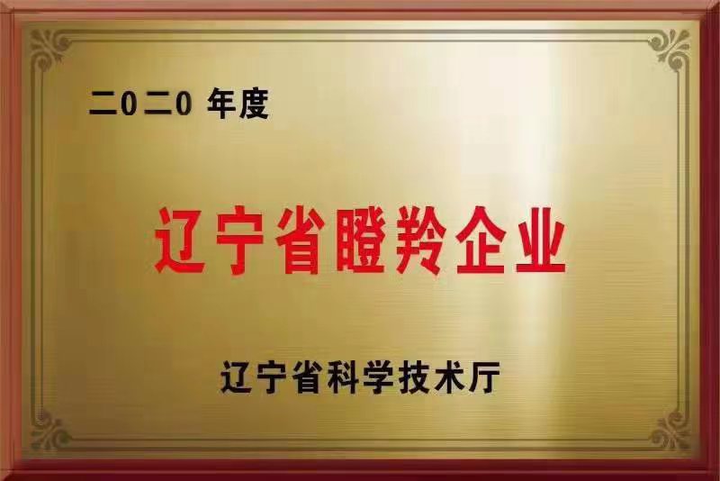 海為公司榮獲“2020年遼寧省瞪羚企業(yè)”