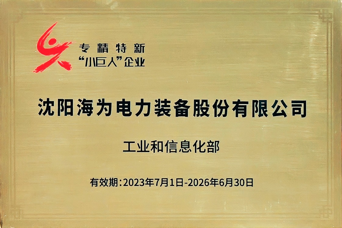 國家級專精特新”小巨人“企業(yè)